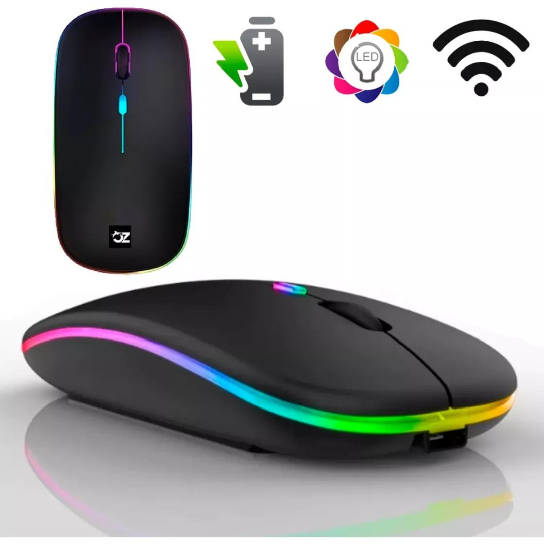 Mouse Sem Fio recarregável USB (SORTIDO)