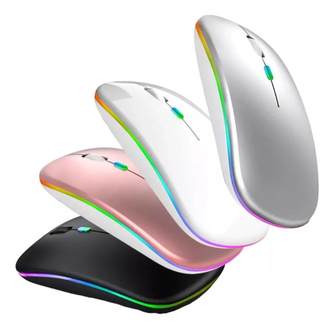 Mouse Sem Fio recarregável USB (SORTIDO)
