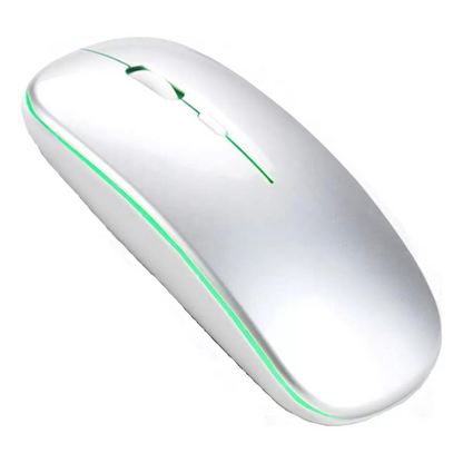 Mouse Sem Fio recarregável USB (SORTIDO)