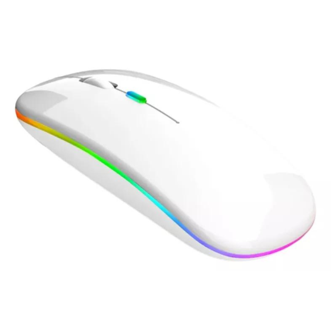 Mouse Sem Fio recarregável USB (SORTIDO)