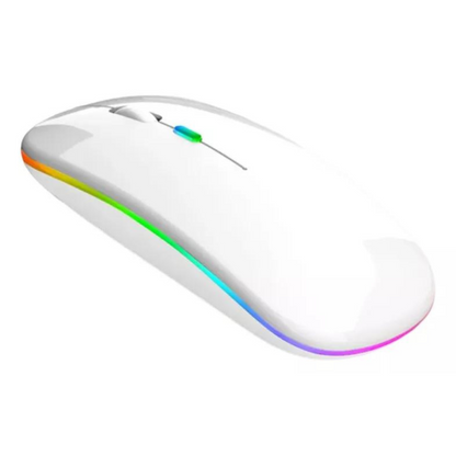 Mouse Sem Fio recarregável USB (SORTIDO)