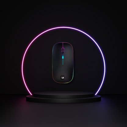 Mouse Sem Fio recarregável USB (SORTIDO)